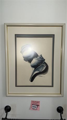 095 - Framed Shell Illustration Print