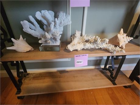 047 - Assorted Seashells and Coral Pieces