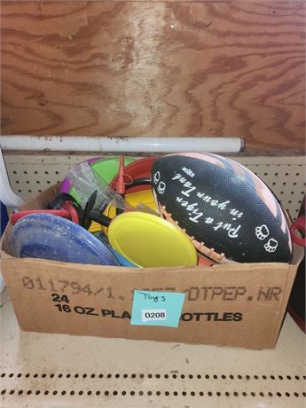Box of Mixed Outdoor and Sports Toys