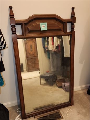 Wood Frame Wall Mirror 29x52 Inches