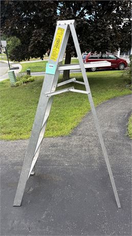 208 - Aluminum Six-Foot Step Ladder