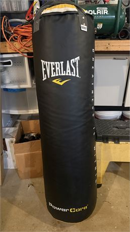 Everlast Heavy Duty Punching Bag - 100 lb